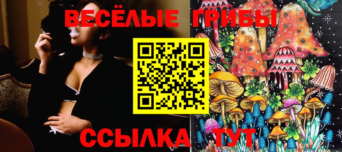 Галлюциногенные грибы Cubensis Стрежевой